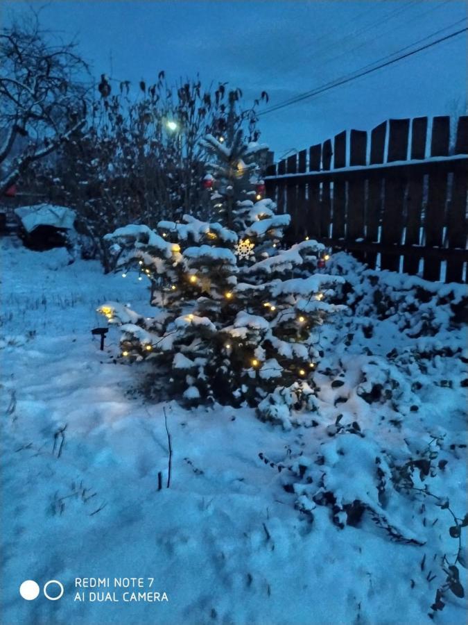 Котедж Кресаня Mykulychyn Buitenkant foto