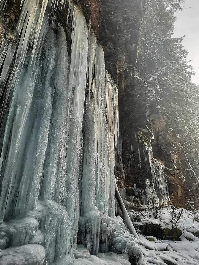 Котедж Кресаня Mykulychyn Buitenkant foto