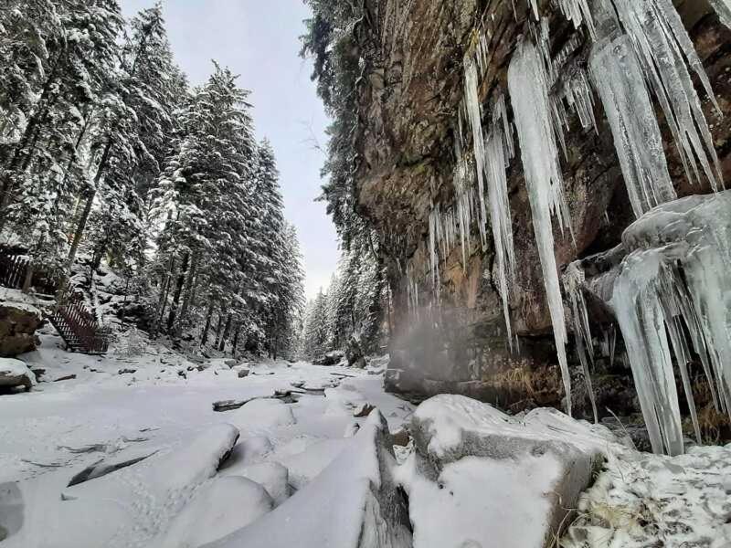 Котедж Кресаня Mykulychyn Buitenkant foto